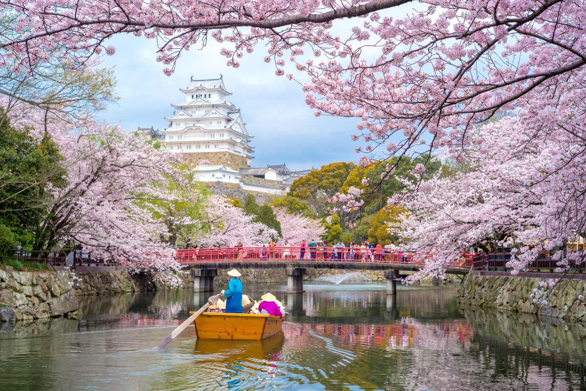 Sky Vacations Unveils Authentic Trips to Japan for 2025