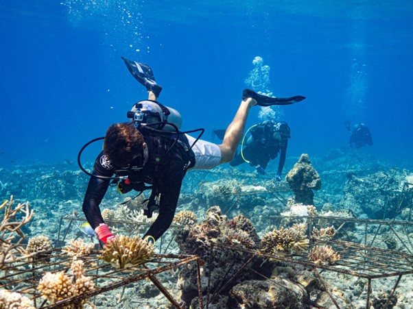 Significant Coral Reef Restoration Dialogue Held at Soneva Fushi