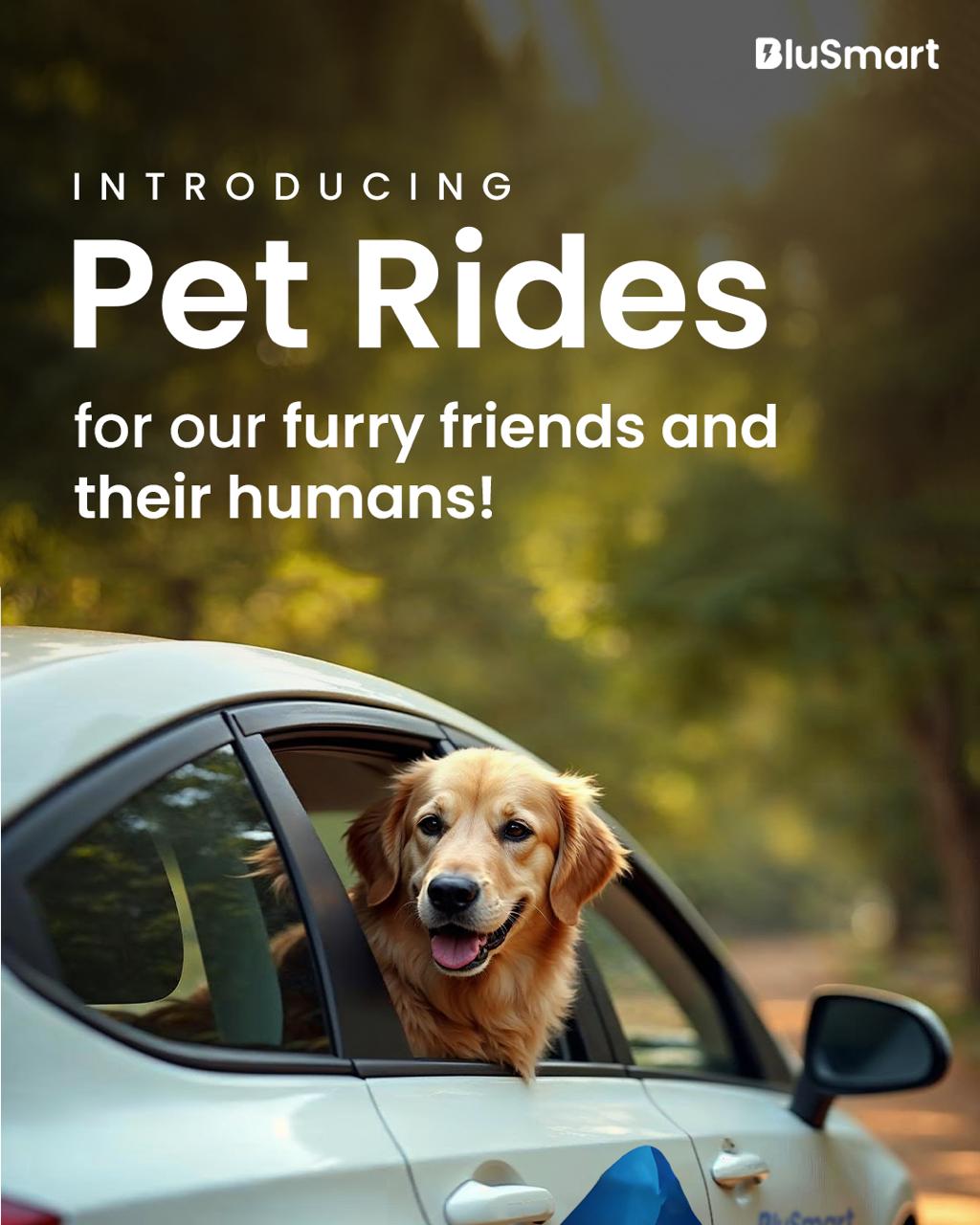 BluSmart Introduces Exclusive Pet Rides Service