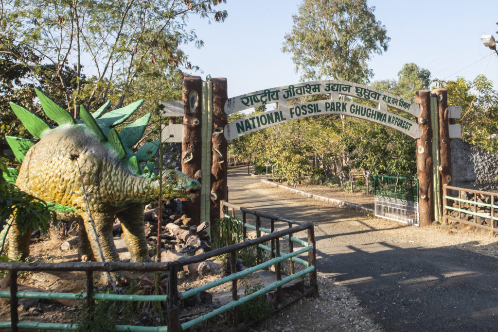 Ghughua Fossil National Park: Dive into Prehistoric Botanical Wonders