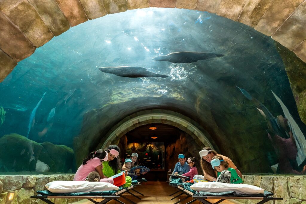 Biggest Ever Sleepover Event at SeaWorld Yas Island