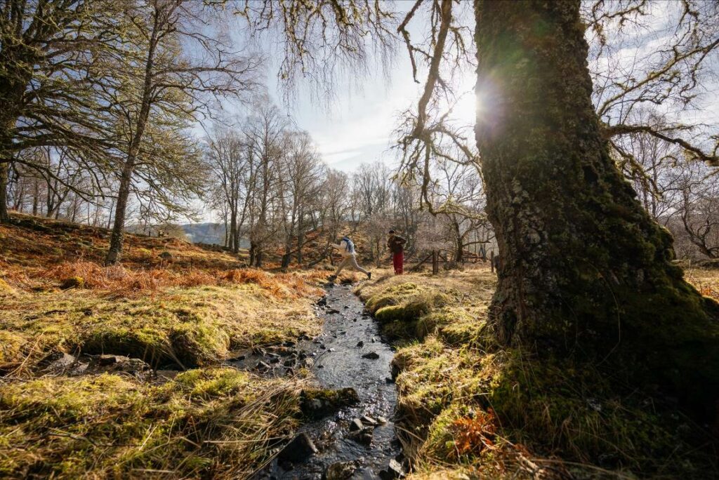 Trafalgar Unveils Impact Report on Sustainable Tourism