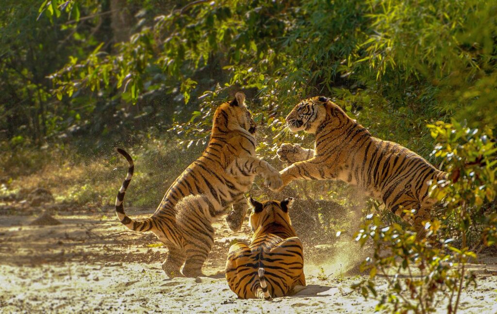 Incredible Madhya Pradesh Attracts 134.1 Million Tourists in 2024