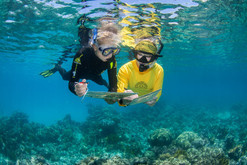 Four Australian Cruise Companies Inducted into the Ecotourism Hall of Fame