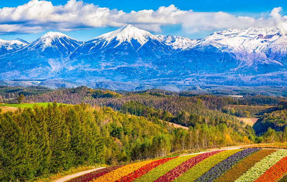 Hokkaido Emerges as the New Summer Destination for GCC Travelers