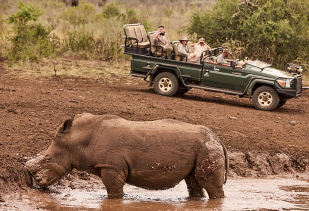 Discover Unique Wildlife Adventures at Jumeirah Resorts
