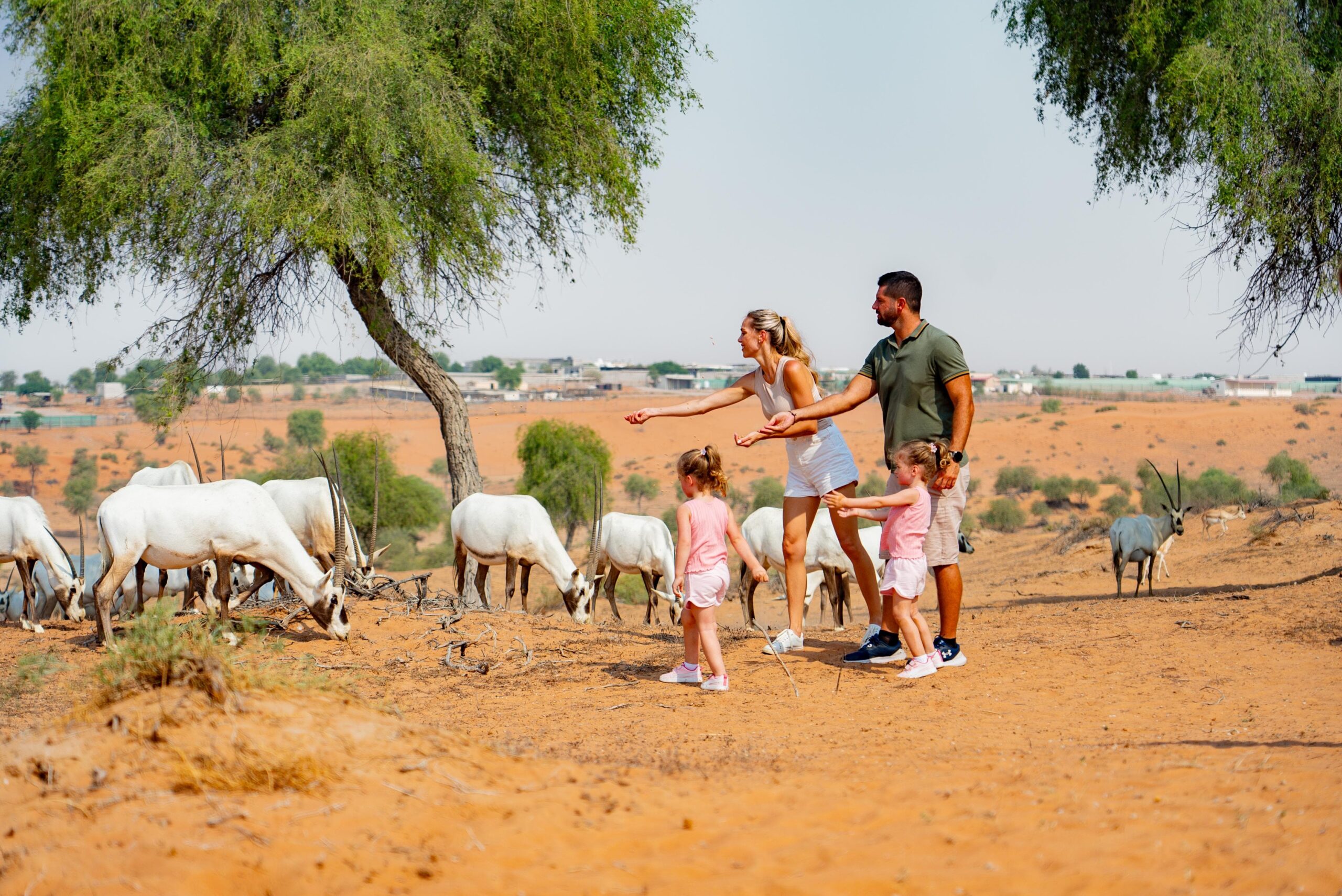 Ras Al Khaimah Sets an Example in Nature Conservation