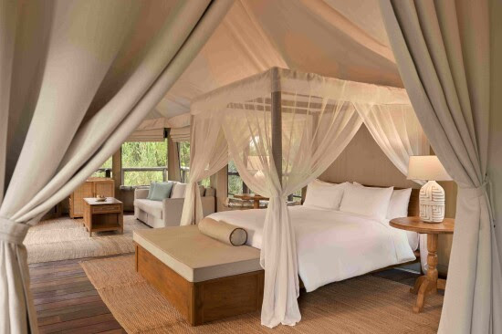 Dusit Takes Charge of Tantawan Tented Camp