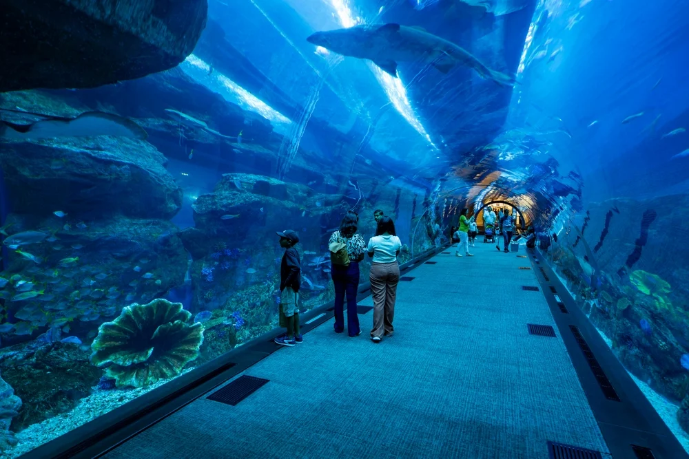 Emaar Entertainment Teams Up with MakeMyTrip for Exclusive Access to Dubai Attractions