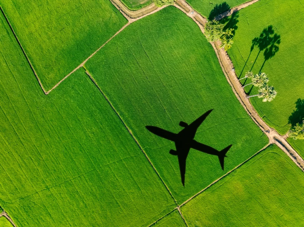 IATA: SAF Technology Hurdle Impedes Net Zero Goals, Not Feedstock Limitations