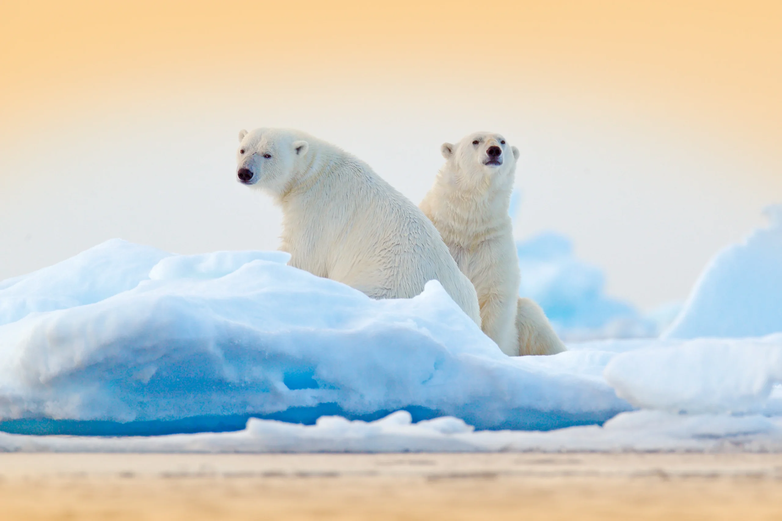 Travelsphere Introduces New Arctic Tour and Cruise Itinerary