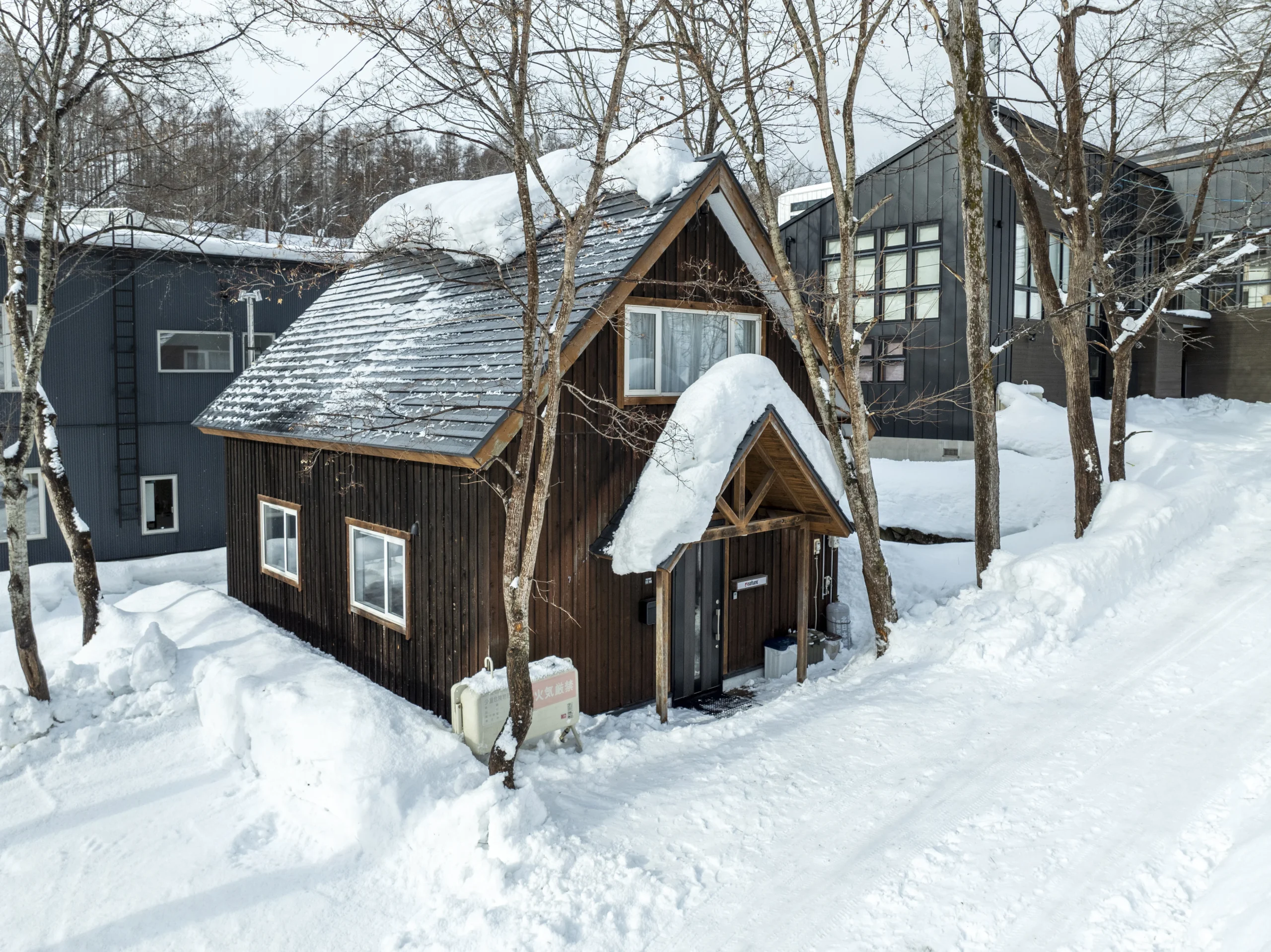 Elite Havens Encourages Early Bookings for Niseko's Ski Season