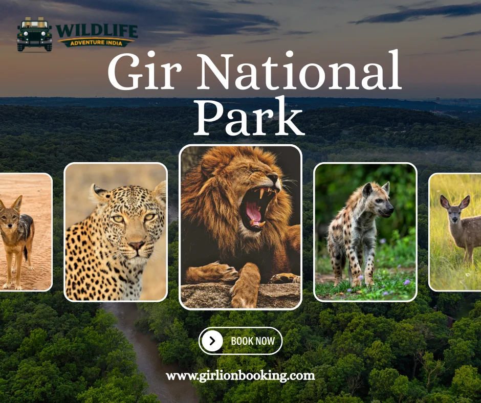 A Simple Guide to Booking Your Gir Safari