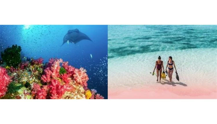 Exploring the Wonders of Manta Point at AYANA Komodo Waecicu Beach