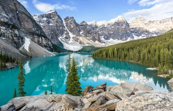 Etihad Airways Unveils Direct Flights Connecting Abu Dhabi and Calgary