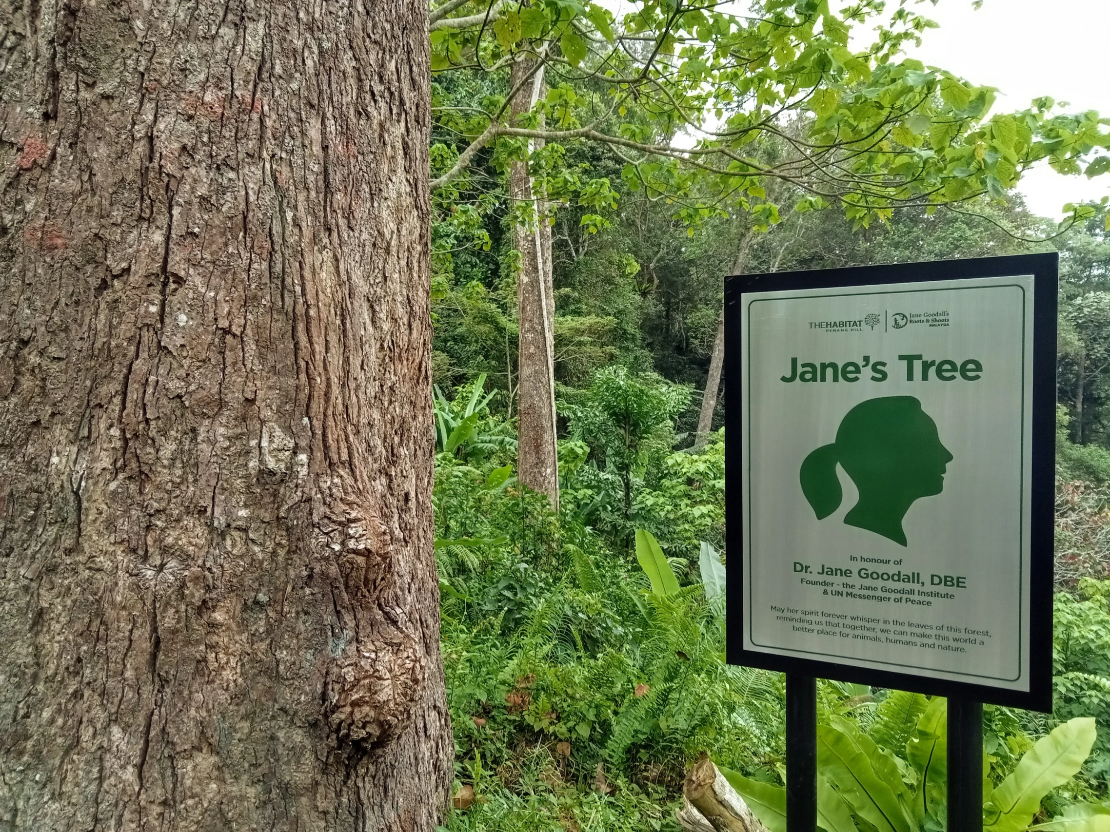 Five Nations Paving the Way for Ecotourism as Sector Reaches $295 Billion Value