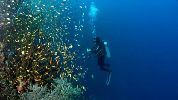 Philippines Attracts Over PHP80 Million in Sales Leads at 2026 Diving Expo