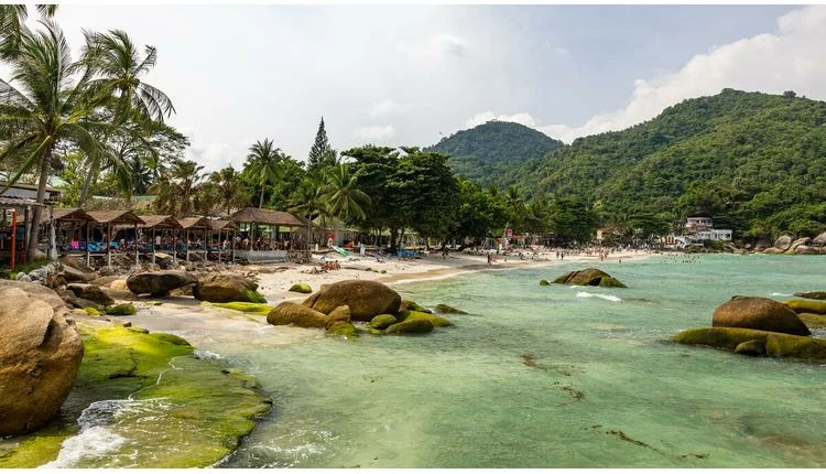 Skyscanner Integrates its App with ChatGPT for Flight Searches