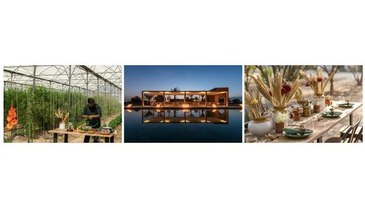 Rajasthan Farm Sets a New Standard for Sustainable Luxury