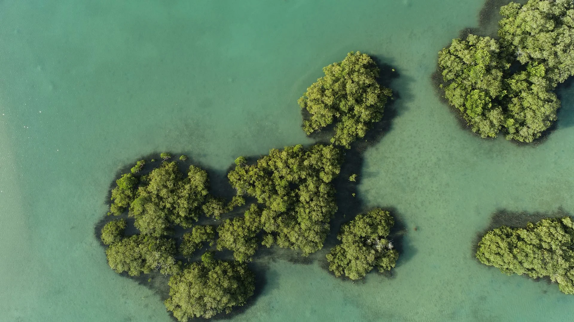 The Red Sea Achieves EarthCheck Certification as Saudi Arabia's First Sustainable Destination