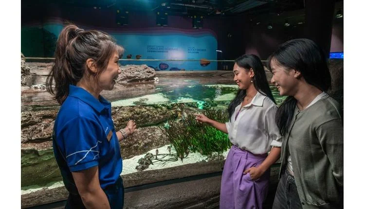 New Seahorse Conservation Program Launched at Singapore Oceanarium