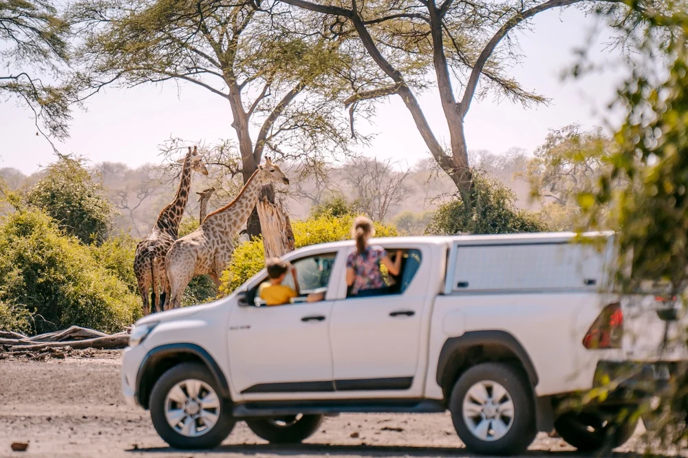 US Travelers Lead Surge in African Safari Bookings