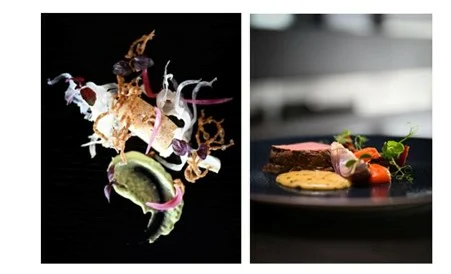 HX Expeditions Expands Its Immersive Greenland Offerings for 2026-27